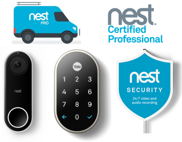 nest1